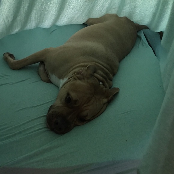 Meet your Posher, Krysten - Picture 7 of 7